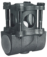 Combination Sight Glass & Check Valve