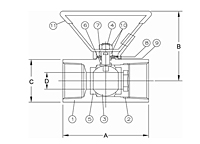 One-Piece Carbon Steel Body Ball Valve - Dimensions